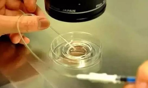 天津代怀生男孩机构：﻿香港试管婴儿费用多少钱,做试管婴儿的流程是怎么样的
