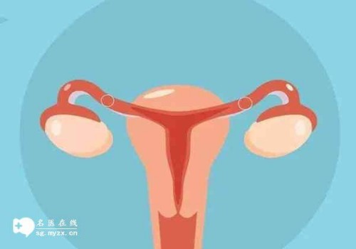天津代怀公司：﻿宫外孕术后备孕的方法一览，教你这三招轻松祝好孕